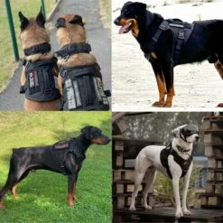 Always Prepared © Pro K9 Hondentuig - Anti Trek - Y Tuig - Middel En Grote Hond - Veiligheidstuig 29 Always Prepared © Pro K9 Hondentuig - Anti Trek - Y Tuig - Middel En Grote Hond - Veiligheidstuig -Huisdier Verkoop 1200x1200 1385