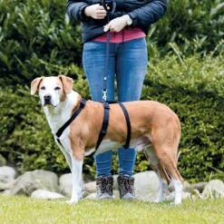 Trixie Stay Hondentuig Zwart Maat - S/M 13 Trixie Stay Hondentuig Zwart Maat - S/M -Huisdier Verkoop 1200x1200 1388