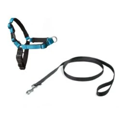 PetSafe Easy Walk® Deluxe Harness - Hondentuig - Blauw - L -1,8 M 29 PetSafe Easy Walk® Deluxe Harness - Hondentuig - Blauw - L -1,8 M -Huisdier Verkoop 1200x1200 1391