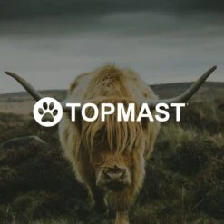 Yak Kaas Hondensnacks - 8 Stuks - 100% Natuurlijk - XS - 20-40 Gram - Kauwstaaf - Kauwbot - Voor De Hond -Huisdier Verkoop 1200x1200 1400