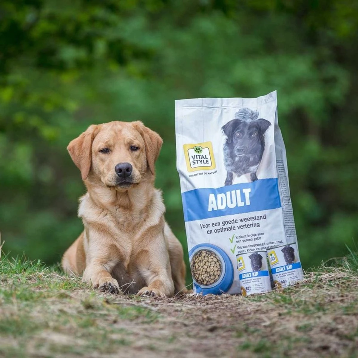VITALstyle ADULT - Hondenbrokken - 12 Kg 4 VITALstyle ADULT - Hondenbrokken - 12 Kg - Afbeelding 2