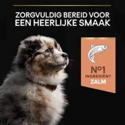 Pro Plan Medium Puppy Sensitive Skin - Honden Droogvoer - Zalm - 12 Kg 28 Pro Plan Medium Puppy Sensitive Skin - Honden Droogvoer - Zalm - 12 Kg -Huisdier Verkoop 1200x1200 1406
