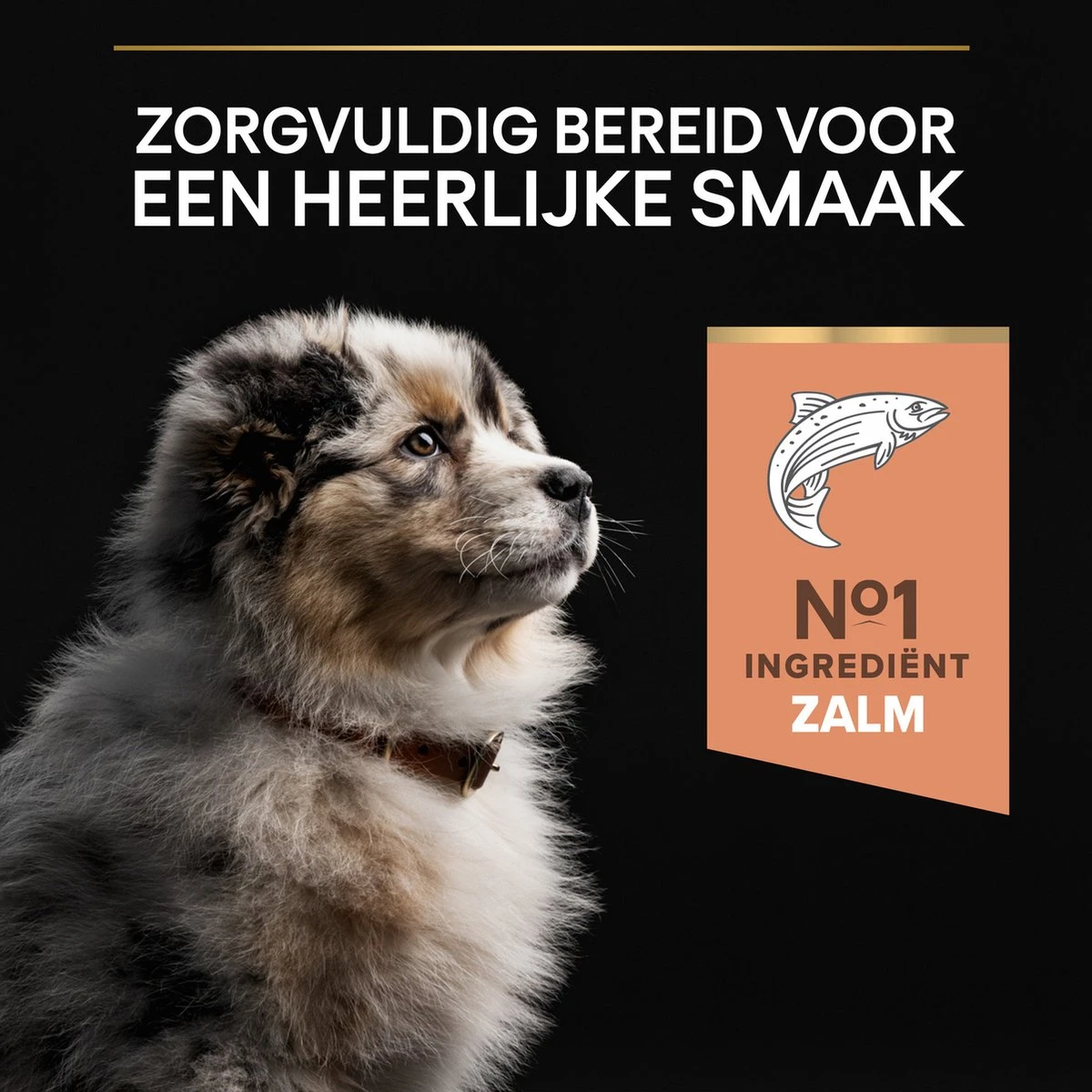 Pro Plan Medium Puppy Sensitive Skin - Honden Droogvoer - Zalm - 12 Kg 13 Pro Plan Medium Puppy Sensitive Skin - Honden Droogvoer - Zalm - 12 Kg - Afbeelding 11