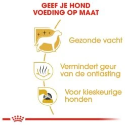 Royal Canin Maltese Adult 1.5 KG 17 Royal Canin Maltese Adult 1.5 KG -Huisdier Verkoop 1200x1200 1414