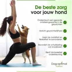 Dog Optimal Gewricht Supplement 90 Stuks - Mobility - Glucosamine Hond - Artrose - Heupdysplasie - Gewrichten - Hondensnacks - Hondenkoekjes - Hondensupplementen - Honden - Puppy - Hondenvoeding - Mankheid - HD - ED 14 Dog Optimal Gewricht Supplement 90 Stuks - Mobility - Glucosamine Hond - Artrose - Heupdysplasie - Gewrichten - Hondensnacks - Hondenkoekjes - Hondensupplementen - Honden - Puppy - Hondenvoeding - Mankheid - HD - ED -Huisdier Verkoop 1200x1200 1432