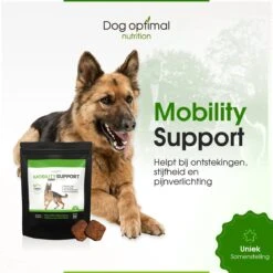 Dog Optimal Gewricht Supplement 90 Stuks - Mobility - Glucosamine Hond - Artrose - Heupdysplasie - Gewrichten - Hondensnacks - Hondenkoekjes - Hondensupplementen - Honden - Puppy - Hondenvoeding - Mankheid - HD - ED 21 Dog Optimal Gewricht Supplement 90 Stuks - Mobility - Glucosamine Hond - Artrose - Heupdysplasie - Gewrichten - Hondensnacks - Hondenkoekjes - Hondensupplementen - Honden - Puppy - Hondenvoeding - Mankheid - HD - ED -Huisdier Verkoop 1200x1200 1437