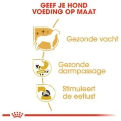 Royal Canin Chihuahua Pouch (12X85 GR) -Huisdier Verkoop 1200x1200 1450