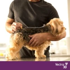 VECTRA 3D Hond - 10 Tot 25 Kg - Anti Vlooien- En Tekendruppels - 3 Pipetten -Huisdier Verkoop 1200x1200 1511