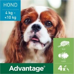 Bayer Advantage 100 Hond 4-10 Kg - 4 Pipetten à 1,0 Ml 28 Bayer Advantage 100 Hond 4-10 Kg - 4 Pipetten à 1,0 Ml -Huisdier Verkoop 1200x1200 1517