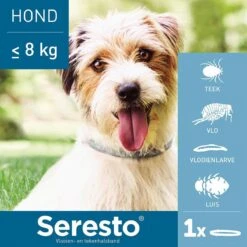 Seresto Vlooien En Tekenband - Kleine Hond - 0 Tot 8 Kg 26 Seresto Vlooien En Tekenband - Kleine Hond - 0 Tot 8 Kg -Huisdier Verkoop 1200x1200 1518