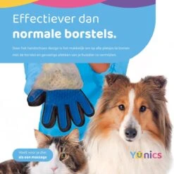 YUNICS® Dieren Handschoen - Haarverwijderaar Voor Huisdieren - Kattenborstel - Hondenborstel - Hondenkam - Kattenhaarverwijderaar - Blauw 9 YUNICS® Dieren Handschoen - Haarverwijderaar Voor Huisdieren - Kattenborstel - Hondenborstel - Hondenkam - Kattenhaarverwijderaar - Blauw -Huisdier Verkoop 1200x1200 152