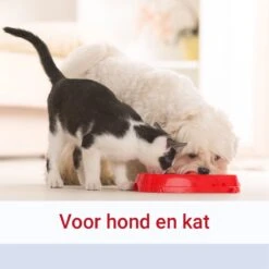 Pharmox Hond & Kat Groenlipmossel 60 Capsules -Huisdier Verkoop 1200x1200 1531