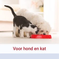 Pharmox Hond & Kat Zalmolie 425 Ml -Huisdier Verkoop 1200x1200 1533