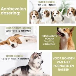 Animigo Anti-Allergie Voor Honden - 120 Tabletten - Tegen Alle Soorten Allergie -Huisdier Verkoop 1200x1200 1543