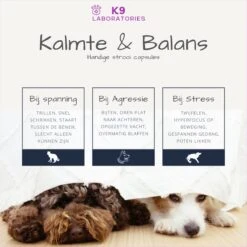 K9 Laboratories Kalmte & Balans - Hond - 60 Stuks - Bij Stress, Angst En Agressie - Ashwagandha - L-tryptofaan - Passiebloem - Valeriaanwortel - Lavendel -Huisdier Verkoop 1200x1200 1545