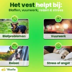 Woefie Honden Anti Stress Vest - Hond Blaffen - Maat M - Reflecterend - Thundershirt - Grijs 19 Woefie Honden Anti Stress Vest - Hond Blaffen - Maat M - Reflecterend - Thundershirt - Grijs -Huisdier Verkoop 1200x1200 1566