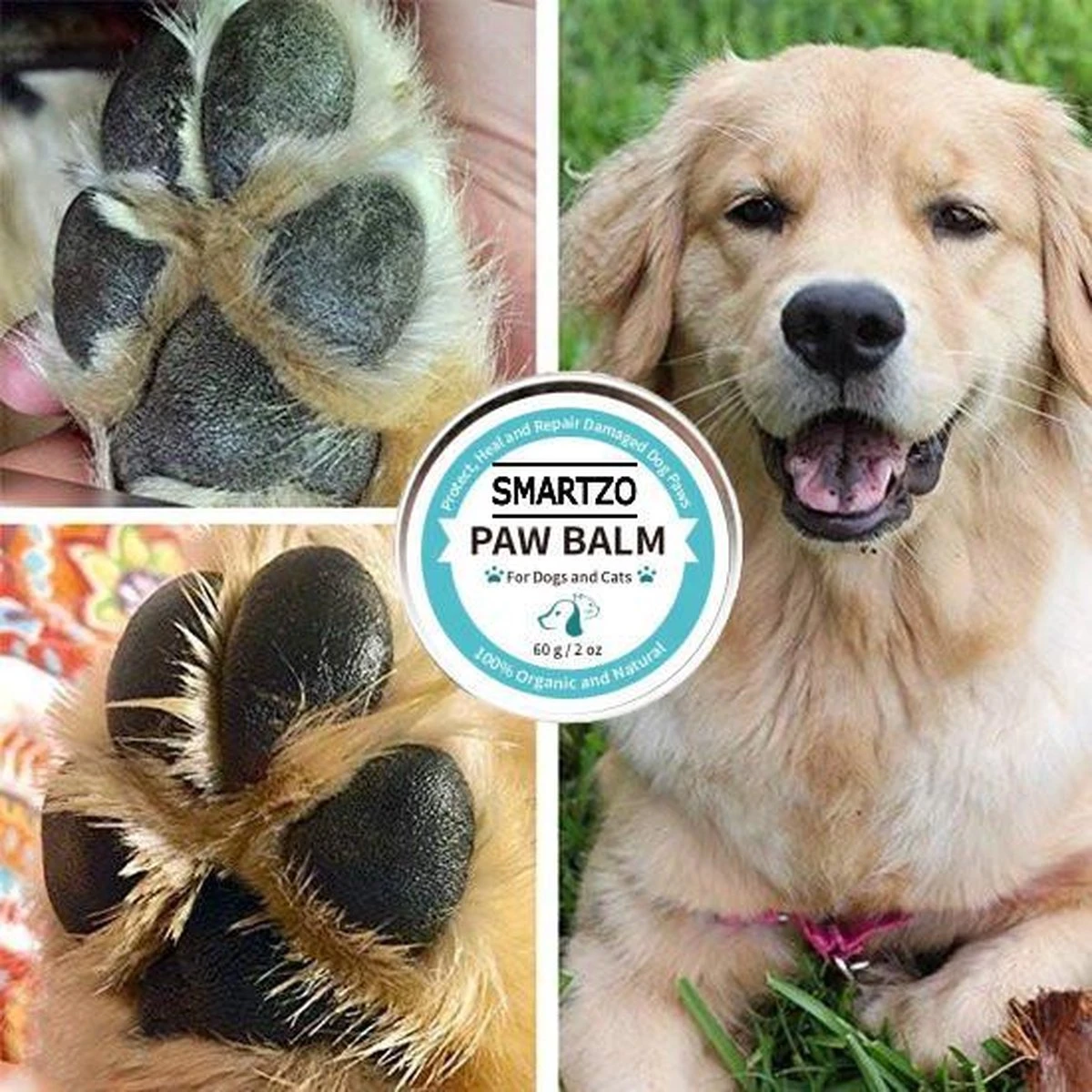 Poot Balsem – Neus Balsem - Huisdieren – Dieren – Poot Verzorging / Neus Verzorging – Verzorging Droge En Gebarsten Poten – Snelwerkende Formule - Hydraterend – Bio Balm - Potenbalsem - Neusbalsem - 60 Gram 8 Poot Balsem – Neus Balsem - Huisdieren – Dieren – Poot Verzorging / Neus Verzorging – Verzorging Droge En Gebarsten Poten – Snelwerkende Formule - Hydraterend – Bio Balm - Potenbalsem - Neusbalsem - 60 Gram - Afbeelding 6