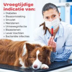 Thuistest Voor Honden - 2 Stuks - Urinetest - Diagnose Van Infecties - Diabetes - Blaasontsteking - Struviet - Nierstenen - Urineweginfectie - Blaasstenen -Huisdier Verkoop 1200x1200 1583