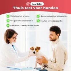 Thuistest Voor Honden - 2 Stuks - Urinetest - Diagnose Van Infecties - Diabetes - Blaasontsteking - Struviet - Nierstenen - Urineweginfectie - Blaasstenen -Huisdier Verkoop 1200x1200 1585