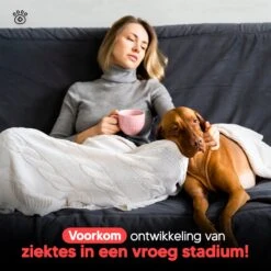 Thuistest Voor Honden - 2 Stuks - Urinetest - Diagnose Van Infecties - Diabetes - Blaasontsteking - Struviet - Nierstenen - Urineweginfectie - Blaasstenen -Huisdier Verkoop 1200x1200 1586