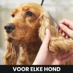 Hondentondeuse - Honden & Katten - Trimmer - Geluidsloos -Huisdier Verkoop 1200x1200 161