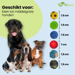Petloverz Ballen Set - Honden Speelgoed - Intelligentie - Ballen - 6 Stuks 10 Petloverz Ballen Set - Honden Speelgoed - Intelligentie - Ballen - 6 Stuks -Huisdier Verkoop 1200x1200 1615