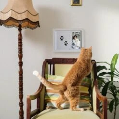 NOVOB® Fotolijst Met Inktafdruk - Pootafdruk Hond - Contactloos - Paw Print - Hondenspeelgoed - Afdruk Huisdier - Cadeau - 23.5 X 29 Cm | Wit -Huisdier Verkoop 1200x1200 1651