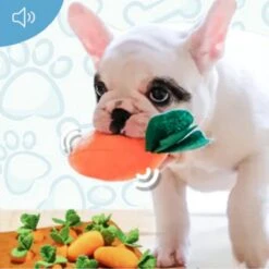 Snuffelmat Hond – Denkspel Hond – Honden Speelgoed – Hondenspel – Wortelveld -Huisdier Verkoop 1200x1200 1666