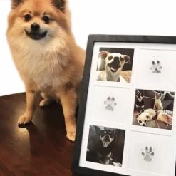 Merkloos Paw Print Pad - Pootafdruk Maken Van Hond Of Kat -Huisdier Verkoop 1200x1200 1714