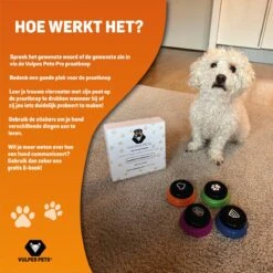 Vulpes Pets® PRO Praatknop Voor Honden Met Speelmat - Dogbuttons - Laat Uw Huisdier Spreken - Hondenspeelgoed - Honden Training - Inclusief E-Book En Speelmat 27 Vulpes Pets® PRO Praatknop Voor Honden Met Speelmat - Dogbuttons - Laat Uw Huisdier Spreken - Hondenspeelgoed - Honden Training - Inclusief E-Book En Speelmat -Huisdier Verkoop 1200x1200 1726