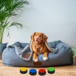 Comfort Company Praatknop Hond | Dogbuttons – Honden Speelgoed | Honden Speelgoed Intelligentie | 4 Stuks | Agility Voor De Hond | 30 Seconden Opnamen | Honden Training -Huisdier Verkoop 1200x1200 1732