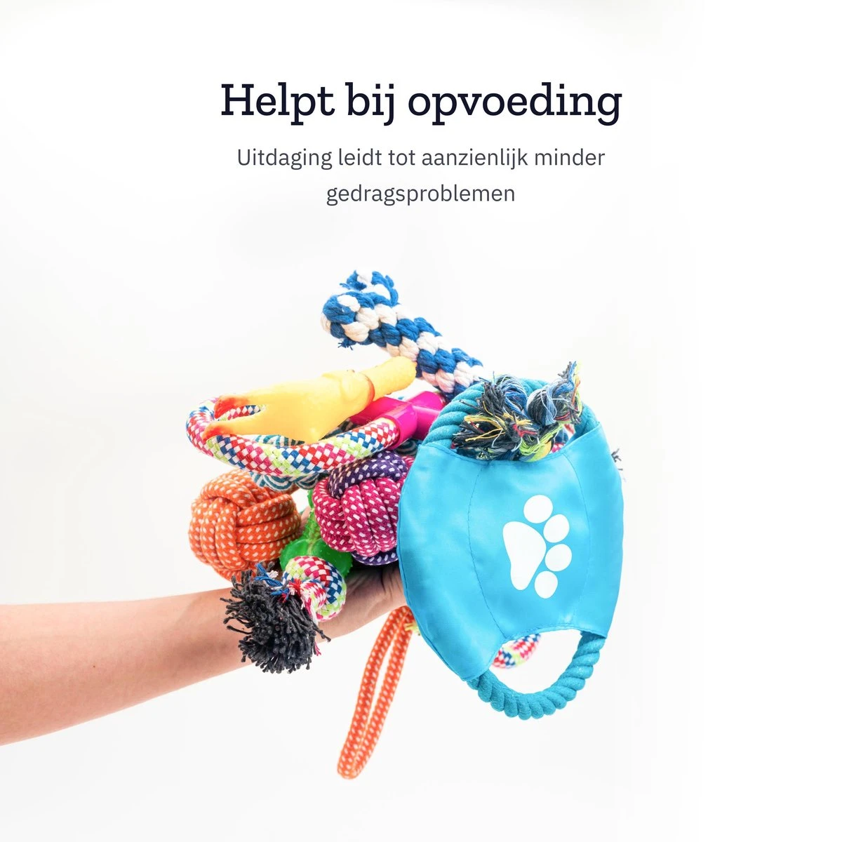 All 4 Pets Supply® Honden Speelgoed Set Geschikt Voor Puppy's T/m Middelgrote Honden - 12 Stuks - Hondenspeeltjes - Intelligentie - Touw - Flostouw - Bijtring - Bal 6 All 4 Pets Supply® Honden Speelgoed Set Geschikt Voor Puppy's T/m Middelgrote Honden - 12 Stuks - Hondenspeeltjes - Intelligentie - Touw - Flostouw - Bijtring - Bal - Afbeelding 4