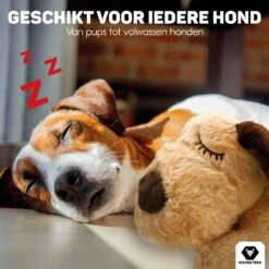 Vulpes Pets® Knuffel Hond Met Hartslag – Puppyknuffel - Hondenknuffel Voor Puppy - Snuggle Puppy - Knuffel Met Hartslag En Gratis Warmte Pad Speciaal Voor Puppy's -Huisdier Verkoop 1200x1200 1785