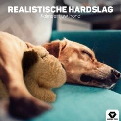 Vulpes Pets® Knuffel Hond Met Hartslag – Puppyknuffel - Hondenknuffel Voor Puppy - Snuggle Puppy - Knuffel Met Hartslag En Gratis Warmte Pad Speciaal Voor Puppy's -Huisdier Verkoop 1200x1200 1787