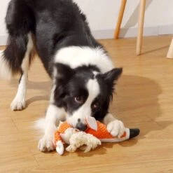 BoDutch Honden Knuffel - Vos - Puppyknuffel - Knisperoortjes - Met Piep - Oranje - 36 Cm - Hondenspeelgoed -Huisdier Verkoop 1200x1200 1789