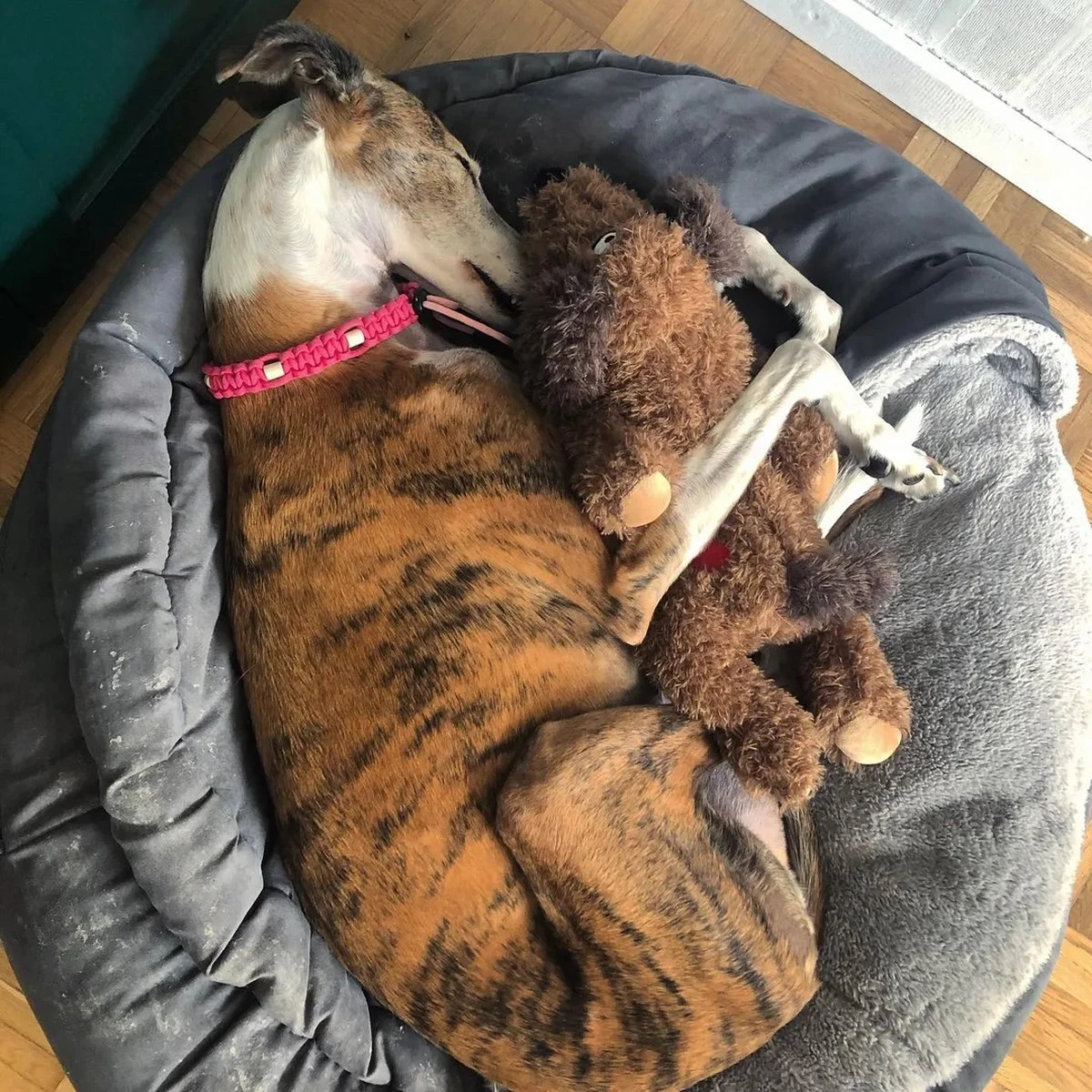 Merkloos Hondenknuffel - Puppyknuffel Met Hartslag - Knuffel Met Hartslag - Antistress Hond - Hondenspeelgoed 8 Merkloos Hondenknuffel - Puppyknuffel Met Hartslag - Knuffel Met Hartslag - Antistress Hond - Hondenspeelgoed - Afbeelding 6