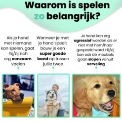 Petloverz – Honden Speelgoed Set – Honden Speeltjes – Knuffel - Speelgoed – Intelligentie – 15 Speeltjes -Huisdier Verkoop 1200x1200 1803