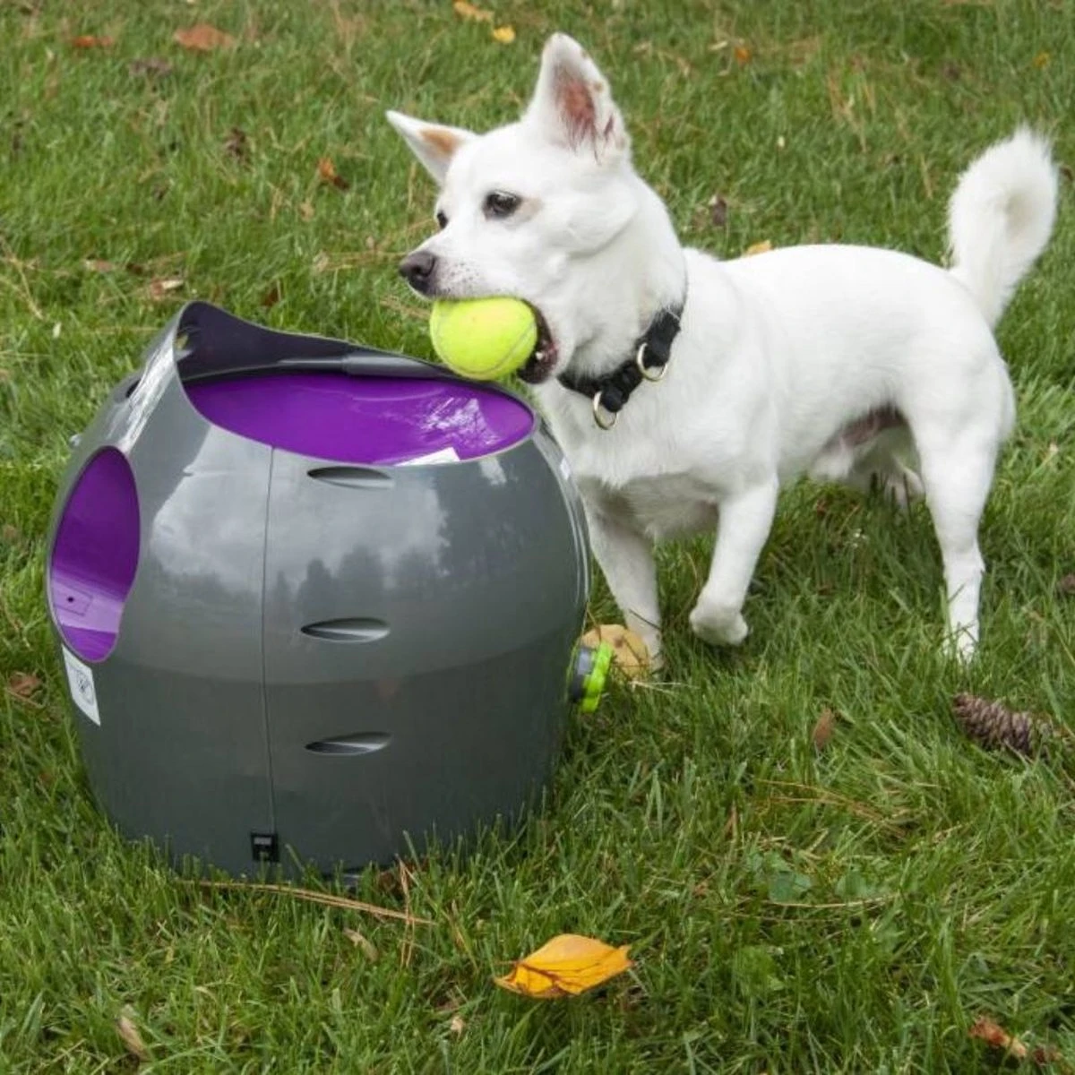 PetSafe Automatische Ballenwerper - Dierenspeelgoed 9 PetSafe Automatische Ballenwerper - Dierenspeelgoed - Afbeelding 7