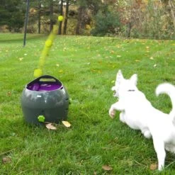 PetSafe Automatische Ballenwerper - Dierenspeelgoed 30 PetSafe Automatische Ballenwerper - Dierenspeelgoed -Huisdier Verkoop 1200x1200 1810