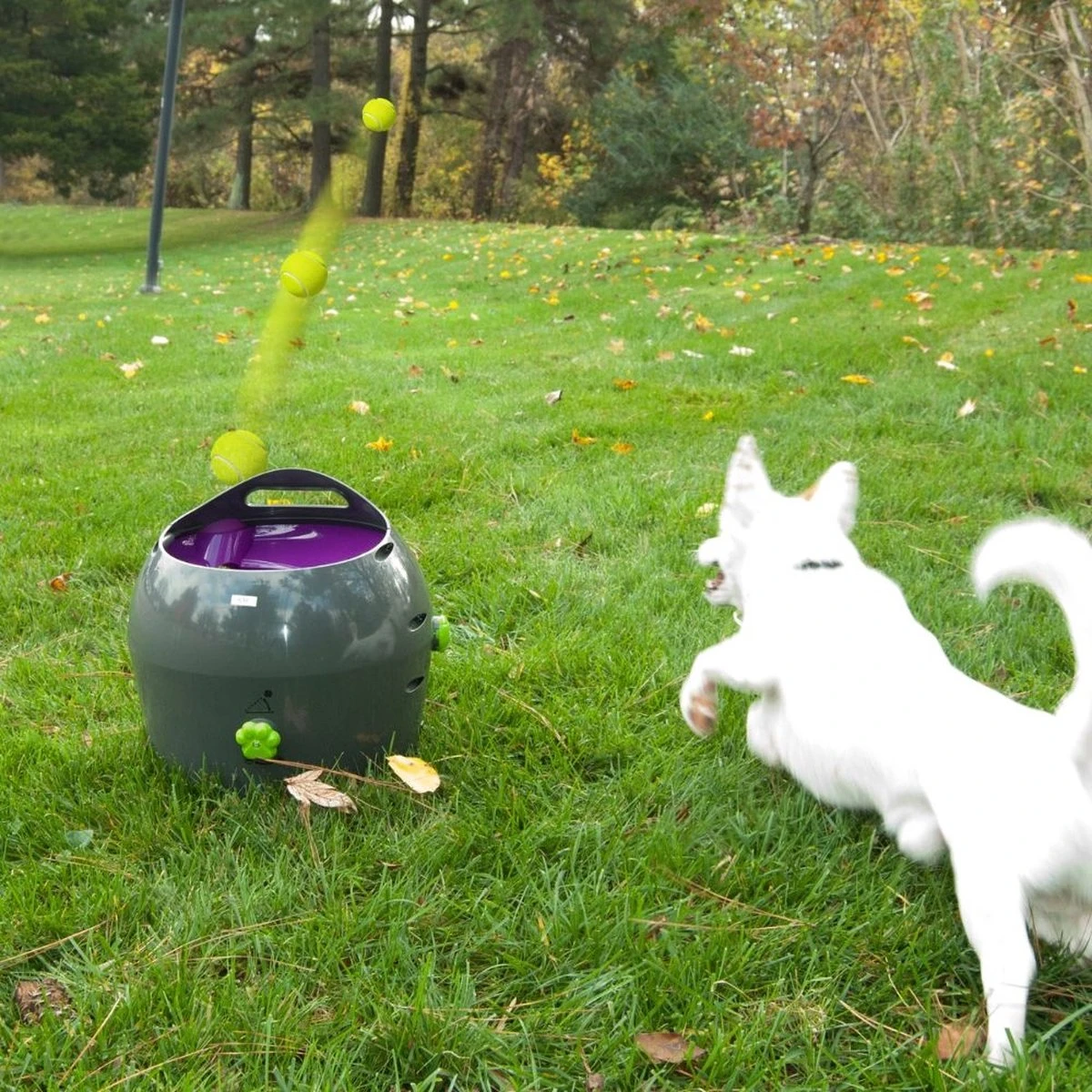 PetSafe Automatische Ballenwerper - Dierenspeelgoed 11 PetSafe Automatische Ballenwerper - Dierenspeelgoed - Afbeelding 9