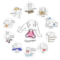 Kong Puppy Goodie Bone Small Small - 1 ST -Huisdier Verkoop 1200x1200 1814