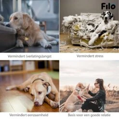 Filo Hondenknuffel Met Hartslag En Warmtebron - Hartslagknuffel Hondenspeelgoed Snuggle Puppy - Knuffel Met Hartslag - Heartbeat Knuffel Hond -Huisdier Verkoop 1200x1200 1819