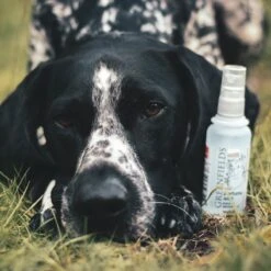 Hondenparfum Spray In 4 Geuren - Greenfields - Alchoholvrije En PH Neutrale Formule Tegen Onaangename Geurtjes - 50ml - Wild 30 Hondenparfum Spray In 4 Geuren - Greenfields - Alchoholvrije En PH Neutrale Formule Tegen Onaangename Geurtjes - 50ml - Wild -Huisdier Verkoop 1200x1200 182