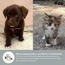 Filo Hondenknuffel Met Hartslag En Warmtebron - Hartslagknuffel Hondenspeelgoed Snuggle Puppy - Knuffel Met Hartslag - Heartbeat Knuffel Hond -Huisdier Verkoop 1200x1200 1820