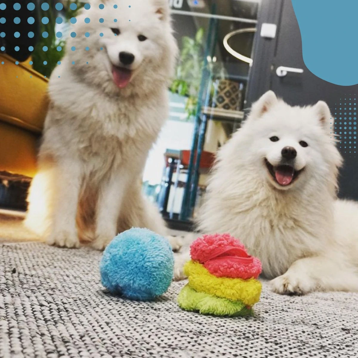 Merkloos Magic Roller Ball – Honden Speelgoed – Kattenspeeltjes - Honden Speeltjes - Kattenspeelgoed - INCLUSIEF BATTERIJ 5 Merkloos Magic Roller Ball – Honden Speelgoed – Kattenspeeltjes - Honden Speeltjes - Kattenspeelgoed - INCLUSIEF BATTERIJ - Afbeelding 3