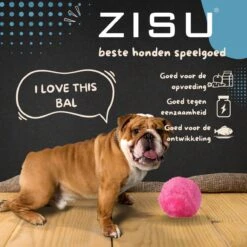 Merkloos Magic Roller Ball – Honden Speelgoed – Kattenspeeltjes - Honden Speeltjes - Kattenspeelgoed - INCLUSIEF BATTERIJ 12 Merkloos Magic Roller Ball – Honden Speelgoed – Kattenspeeltjes - Honden Speeltjes - Kattenspeelgoed - INCLUSIEF BATTERIJ -Huisdier Verkoop 1200x1200 1824