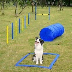 Agility Voor De Hond - 16 Delig - Agility Set - Hondentunnel - Horde - Slalom Palen - Honden Training Set - Honden Behendigheidsset - Agility Toestellen -Huisdier Verkoop 1200x1200 1835