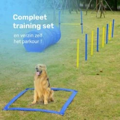 Agility Voor De Hond - 16 Delig - Agility Set - Hondentunnel - Horde - Slalom Palen - Honden Training Set - Honden Behendigheidsset - Agility Toestellen -Huisdier Verkoop 1200x1200 1837