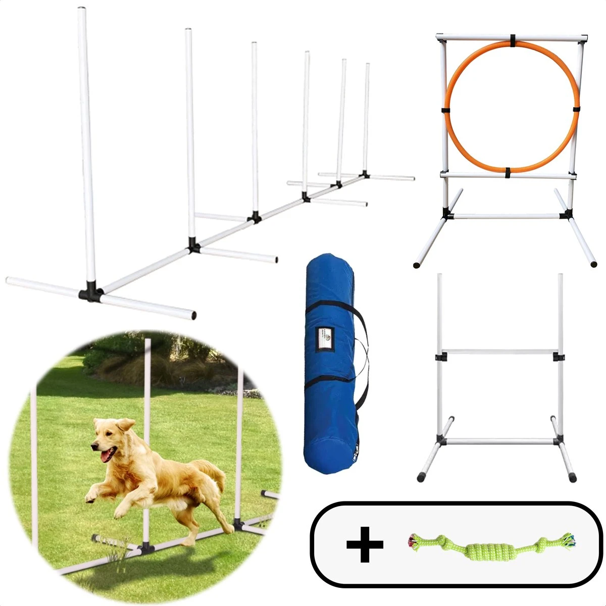 AYOO Agility Voor De Hond - Honden Training - Honden Behendigheid Set - Hondenparcours - Training Huisdieren - Honden Agility Set - Slalom - Horde - Draagzak - Agility Set - Oranje - Wit - GRATIS Speeltouw 3 AYOO Agility Voor De Hond - Honden Training - Honden Behendigheid Set - Hondenparcours - Training Huisdieren - Honden Agility Set - Slalom - Horde - Draagzak - Agility Set - Oranje - Wit - GRATIS Speeltouw