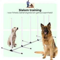 AYOO Agility Voor De Hond - Honden Training - Honden Behendigheid Set - Hondenparcours - Training Huisdieren - Honden Agility Set - Slalom - Horde - Draagzak - Agility Set - Oranje - Wit - GRATIS Speeltouw 15 AYOO Agility Voor De Hond - Honden Training - Honden Behendigheid Set - Hondenparcours - Training Huisdieren - Honden Agility Set - Slalom - Horde - Draagzak - Agility Set - Oranje - Wit - GRATIS Speeltouw -Huisdier Verkoop 1200x1200 1858